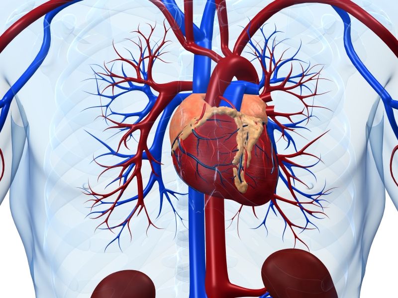 Medicare Paid $1.5 Billion to Replace Faulty Heart Devices