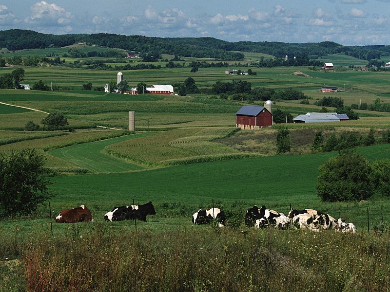 COPD Hospitalizations, Deaths, Prevalence Higher in Rural Areas