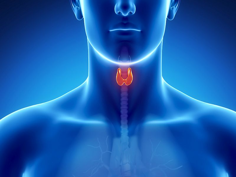 Immune Checkpoint Inhibitor Endocrine Dysfunction Explored