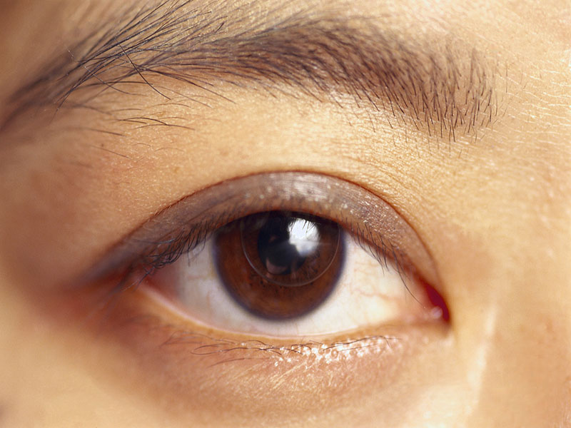 Retinal Sensitivity Linked to Cognitive Status in T2DM