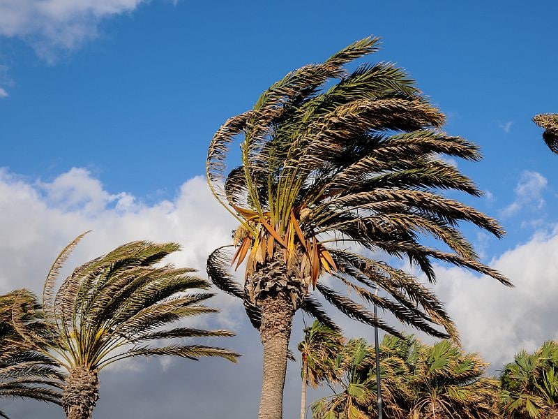 ~3,000 Excess Deaths Estimated Due to Hurricane Maria