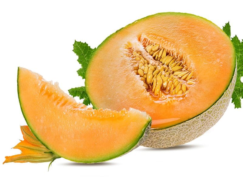 CDC: <i>Salmonella</i>-Tainted Melon Outbreak Appears to Be Over