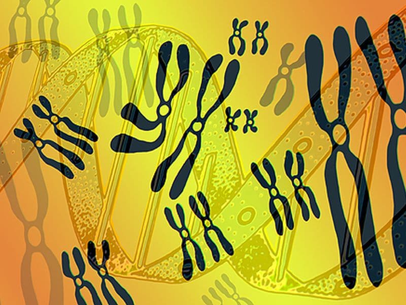 Worse Health Status With Shorter Telomere Length in COPD