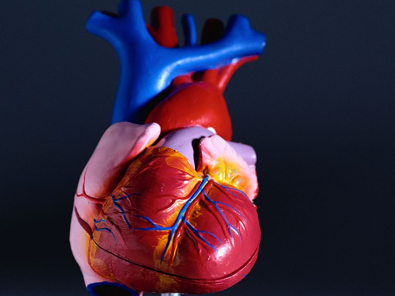 Updated Guidelines Released for Ventricular Arrhythmias