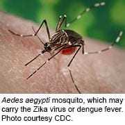 Interim Guidance Provided for Men With Possible Zika Infection