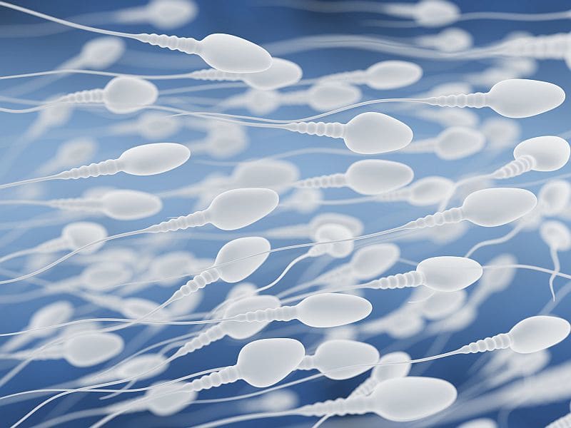 Male Underwear Choice Affects Sperm Counts