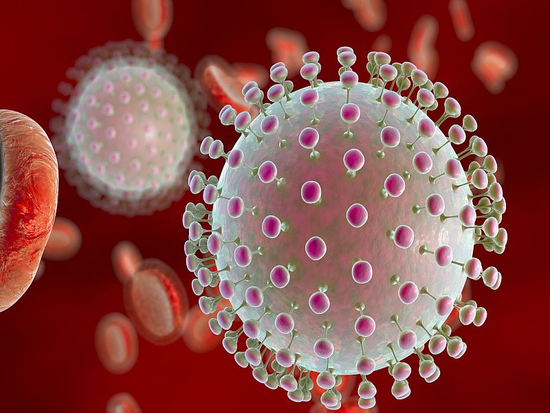 Zika Virus Preferentially Targets Glioblastoma Stem Cells