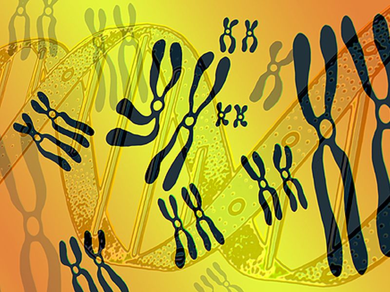 <i>HTRA1</i> Mutations Tied to Cerebral Small Vessel Disease