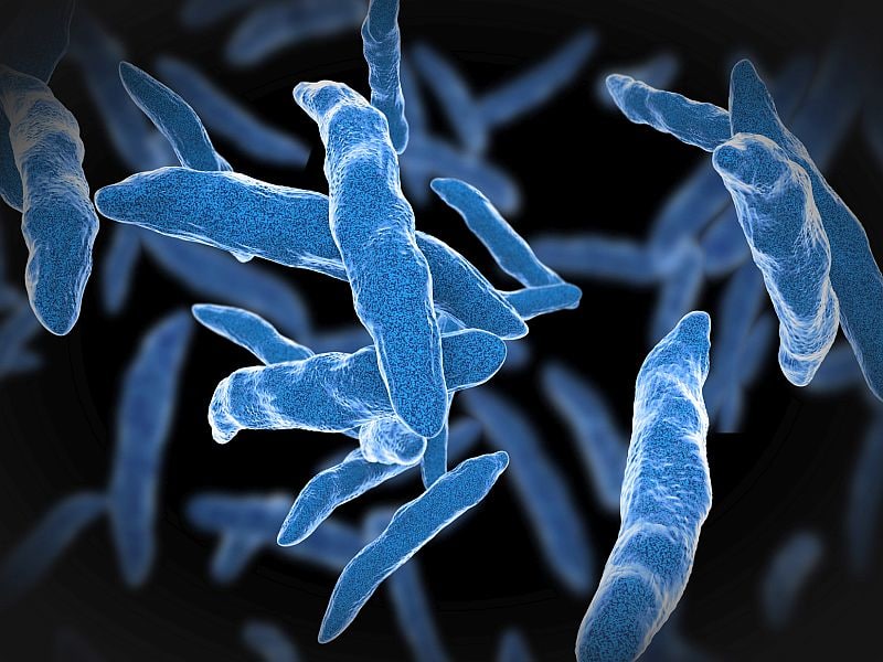 Rifampin Similar to Isoniazid for Preventing Active Tuberculosis