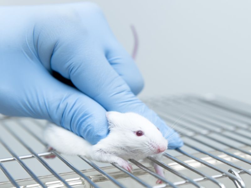 In Situ Vaccine Uses Immune Response to Treat Cancer