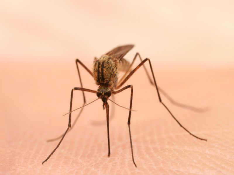 Neurologic Abnormalities Identified After West Nile Virus
