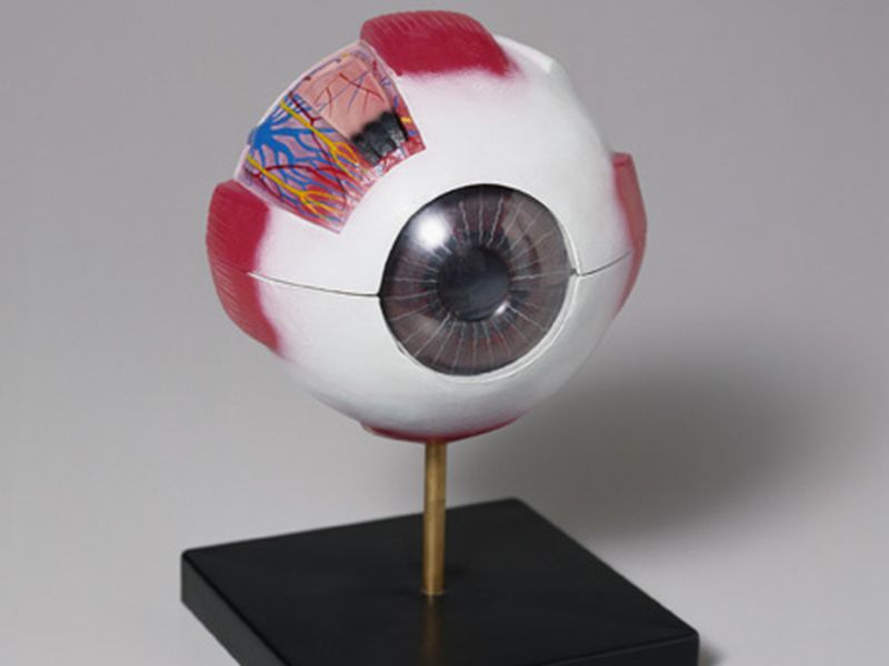 Thinner Retinal Nerve Fiber Layer Tied to Worse Cognitive Function