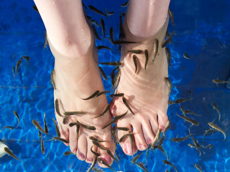 Fish Pedicure Causes Woman to Lose Toenails