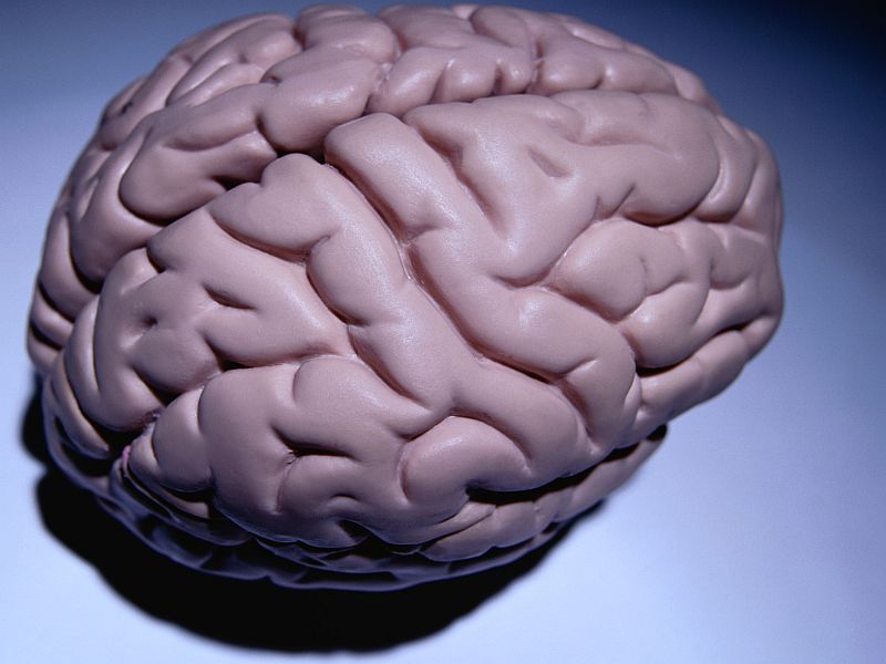 Dynamics of Brain Volume Loss Vary With MS Progression