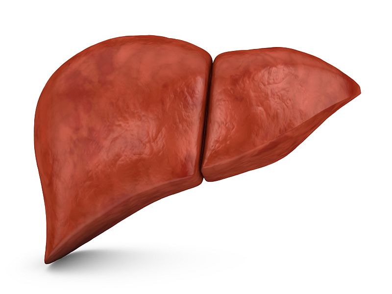 Plasma Amino Acids Up in Non-Alcoholic Fatty Liver Disease