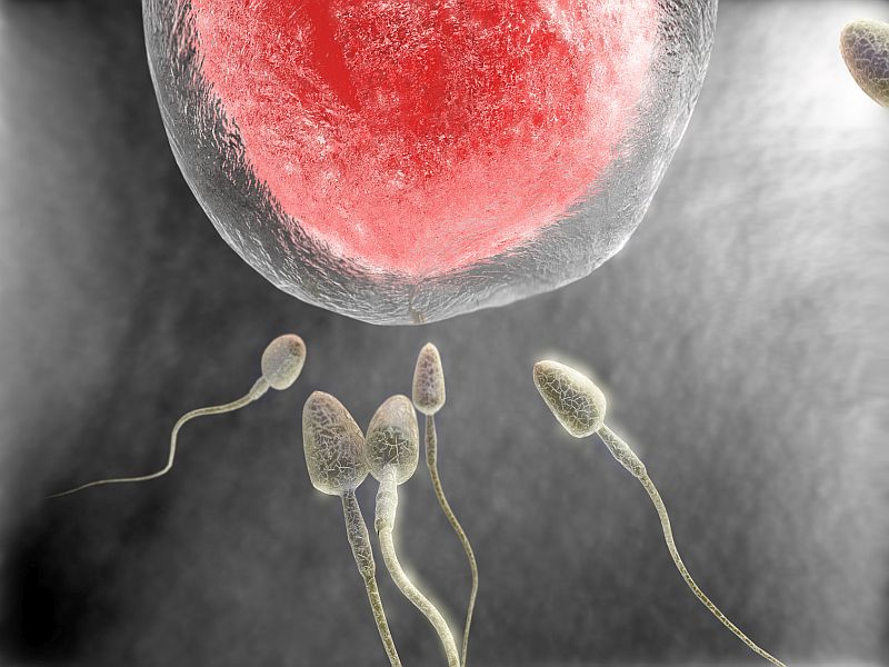 Higher TSH Levels Seen in Women With Unexplained Infertility