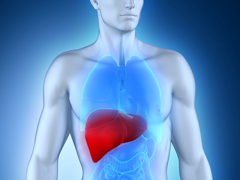 Predictors of Death in Cirrhosis Include Age, BSA, MELD