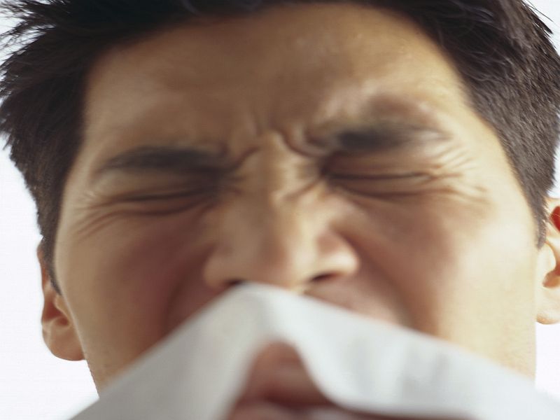 Guidance Issued for Seasonal Allergic Rhinitis Pharmacologic Tx