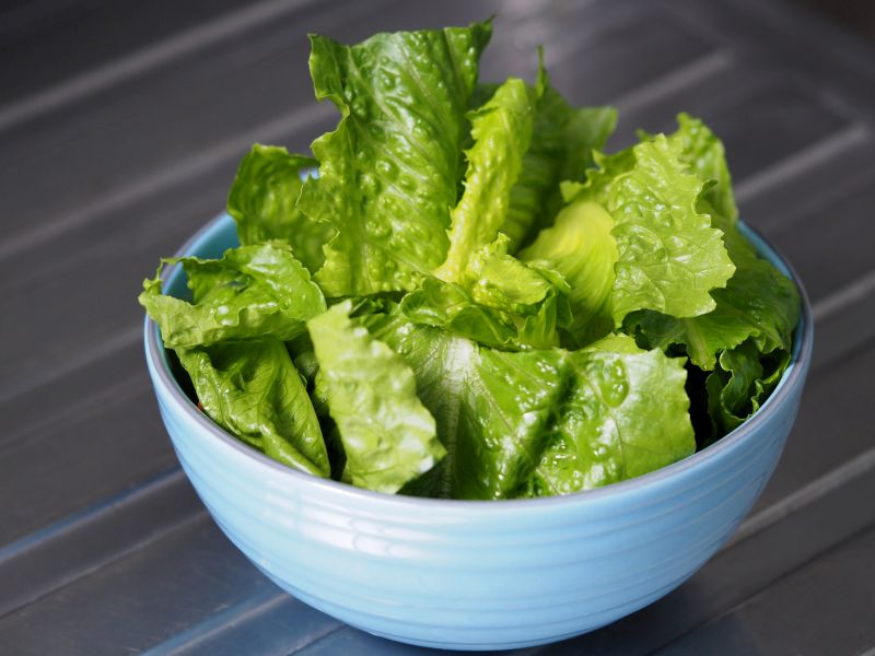 Irrigation Water Likely Cause of Romaine Lettuce <i>E. Coli</i> Outbreak
