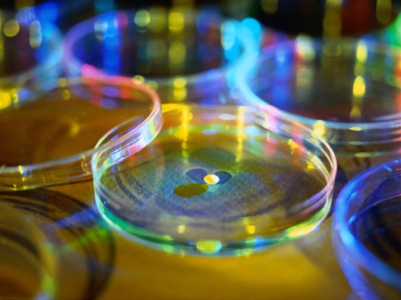 Twenty-Seven Viruses Can Be Found in Human Semen