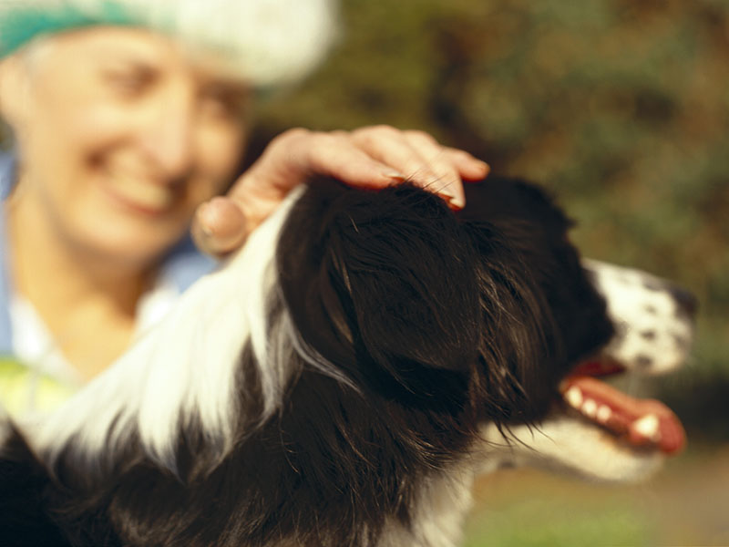Pets Provide Support to People With Mental Health Conditions