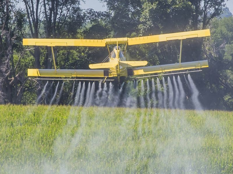 Court Rules That U.S. Must Halt Sales of Pesticide Chlorpyrifos