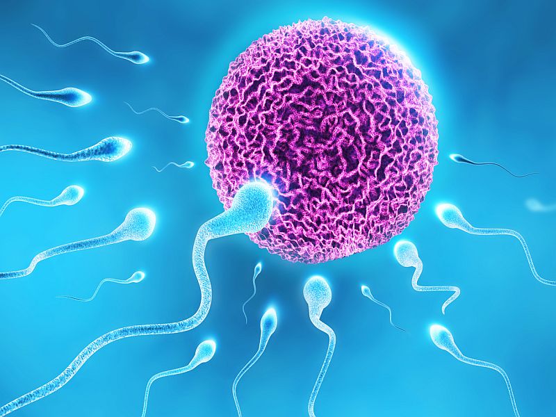 First IVF Baby Louise Brown Turns 40