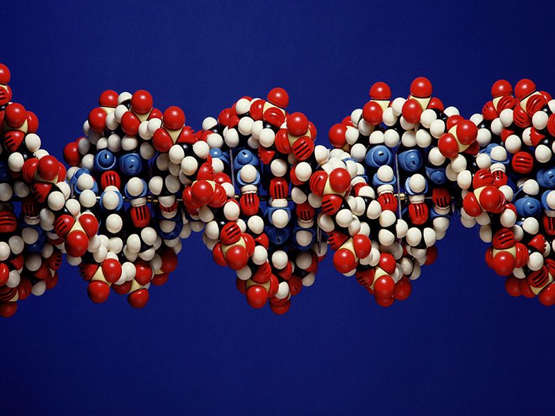 Gene Polymorphisms Linked to Risk of Chronic Post-Op Pain
