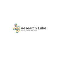Research Lake International Inc.