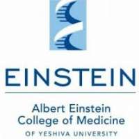 Albert Einstein College of Medicine