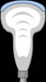 Loma Linda University (LLU)