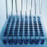 The Eye Research Foundation (ERF)