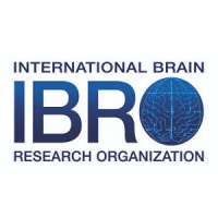 International Brain Research Organization (IBRO)