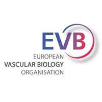 European Vascular Biology Organisation (EVBO)