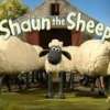Shaun Grimes Grimes Shaun Grimes Grimes