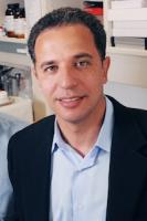 Hesham A. Sadek