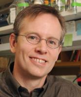 Steven A. Kliewer