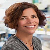 Amy A. Kiger
