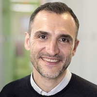 Federico Mingozzi