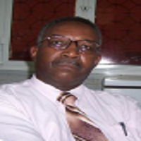 Abubakr Darrag Salim Ahmed