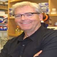 Dirk Schnappinger