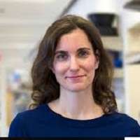Adrienne A. Boire