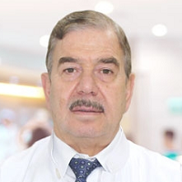 Abdul Karim Msaddi