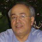 Farzin Farzaneh