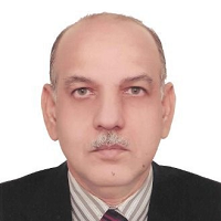 Musarrat Hasan