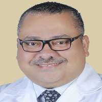 Amr Ismael M. Hawal