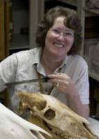 Fiona H. Marshall