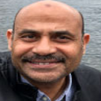 Yasser Wali