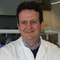 Alexandre Arcaro