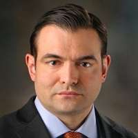 Mark V. Schaverien